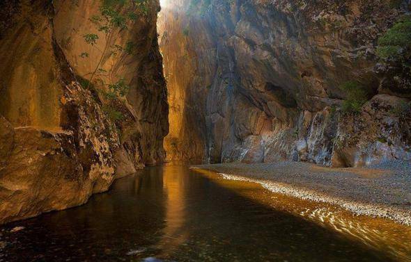 grevena